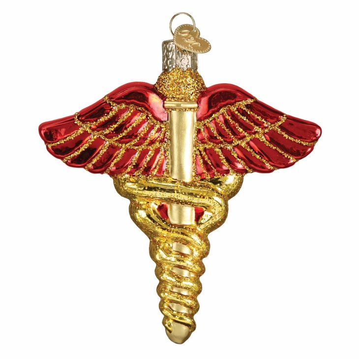 Medical Symbol Ornament  |  Education & School Education & School Education & School