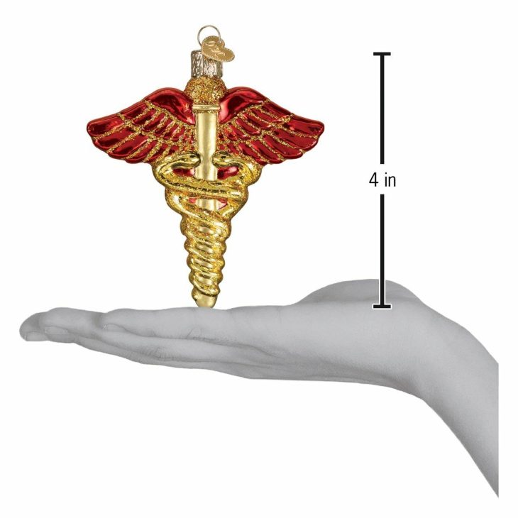 Medical Symbol Ornament  |  Education & School Education & School Education & School