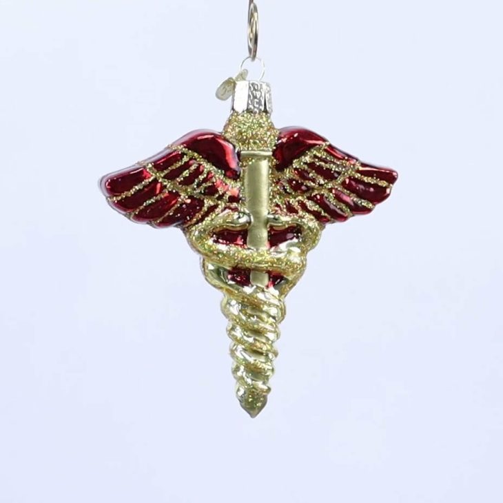 Medical Symbol Ornament  |  Education & School Education & School Education & School