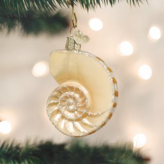 Nautilus Shell Ornament  |  Nature Animals & Pets Animals & Pets