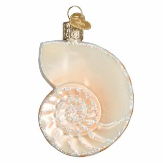 Nautilus Shell Ornament  |  Nature Animals & Pets Animals & Pets