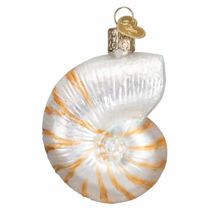 Nautilus Shell Ornament  |  Nature Animals & Pets Animals & Pets