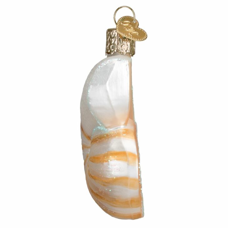 Nautilus Shell Ornament  |  Nature Animals & Pets Animals & Pets