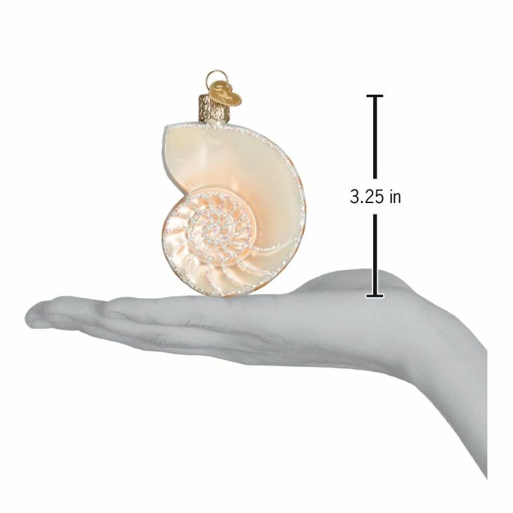 Nautilus Shell Ornament  |  Nature Animals & Pets Animals & Pets