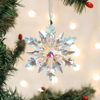 Radiant Crystal Snowflake Ornament  |  Nature Nature Nature