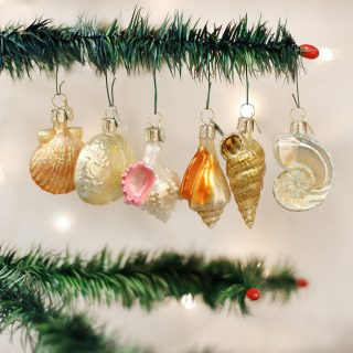 Sea Shell Christmas Ornament Set  |  Collections & Sets Collections & Sets Collections & Sets