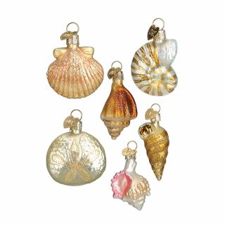 Sea Shell Christmas Ornament Set  |  Collections & Sets Collections & Sets Collections & Sets