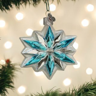 Snowflake Ornament  |  Nature Nature Nature