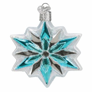 Snowflake Ornament  |  Nature Nature Nature