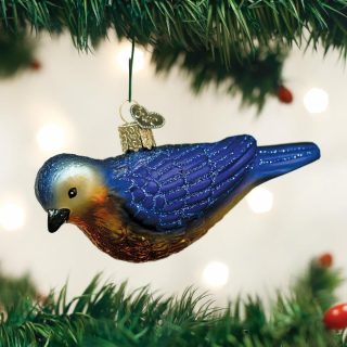 Hanging Western Bluebird  |  Animals & Pets Animals & Pets Animals & Pets